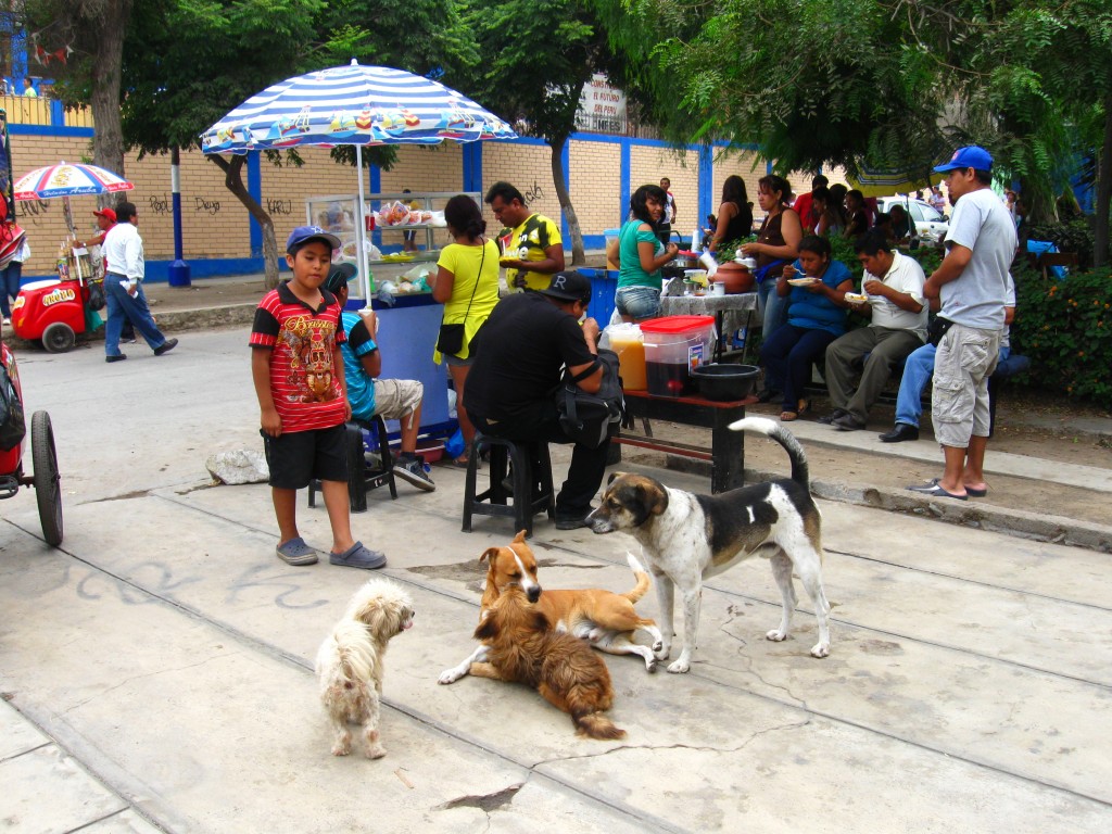 La fiesta electoral se vive de distintas maneras fuera del local de votación.